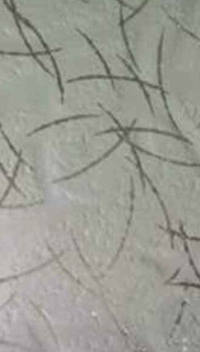 TO