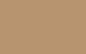 French Beige - STYLAM SOLIDS