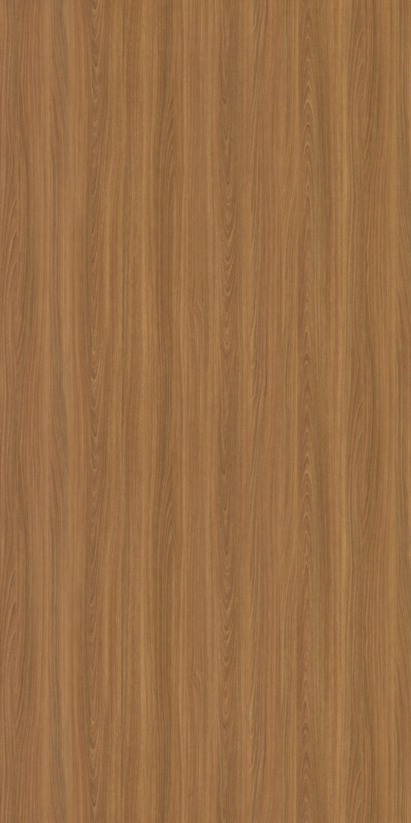 3133-Golden Wood Elm : Stylam Laminates Teak Woodgranis